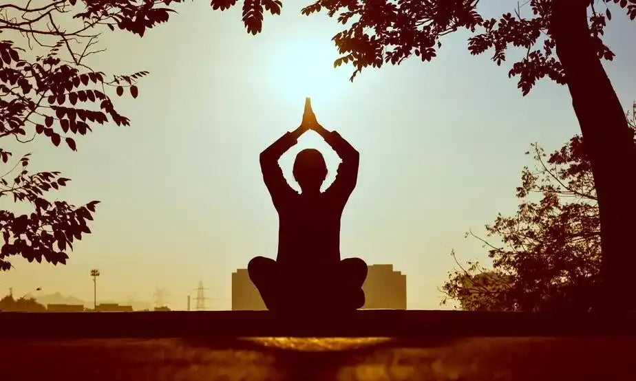 Los Origenes del Yoga