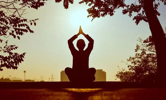 Los Origenes del Yoga