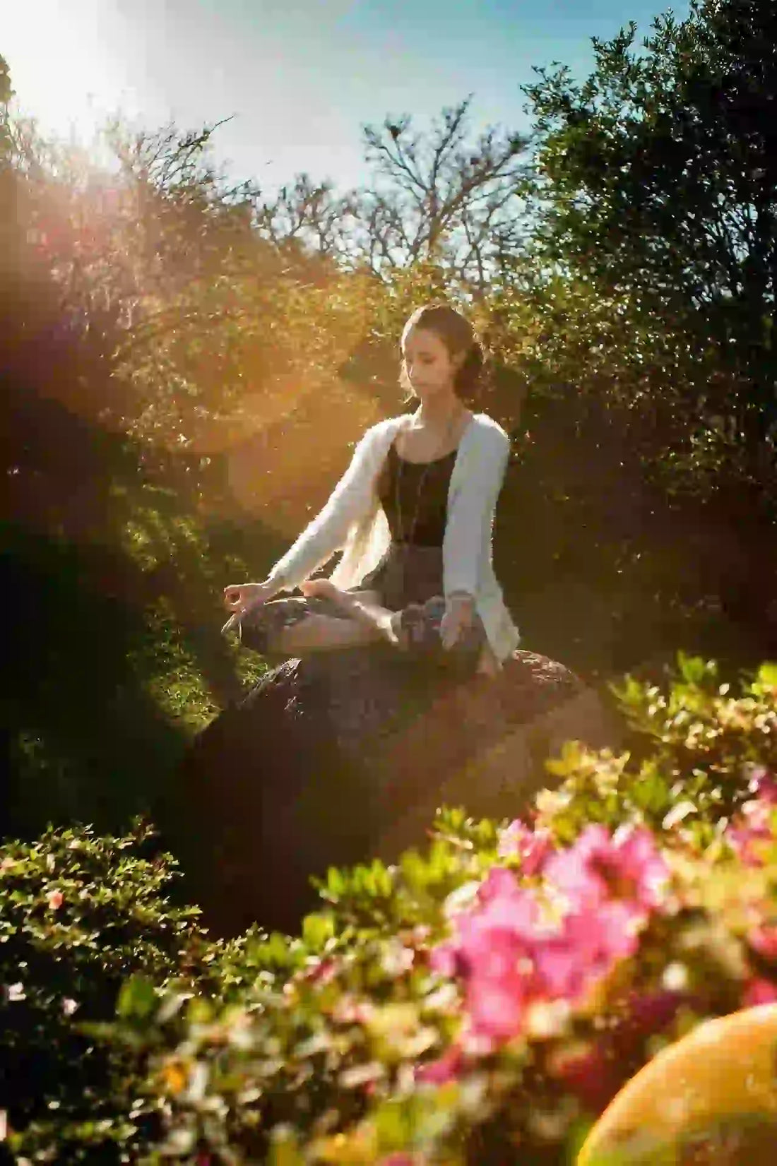 Yoga para Principiantes