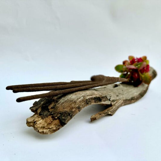 incienso-natural-ven-dinero